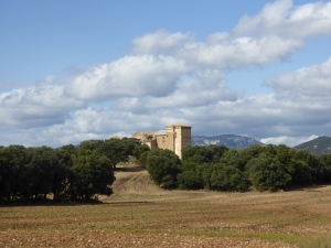Igúzzquiza, palacio de los Vélaz de Medrano
