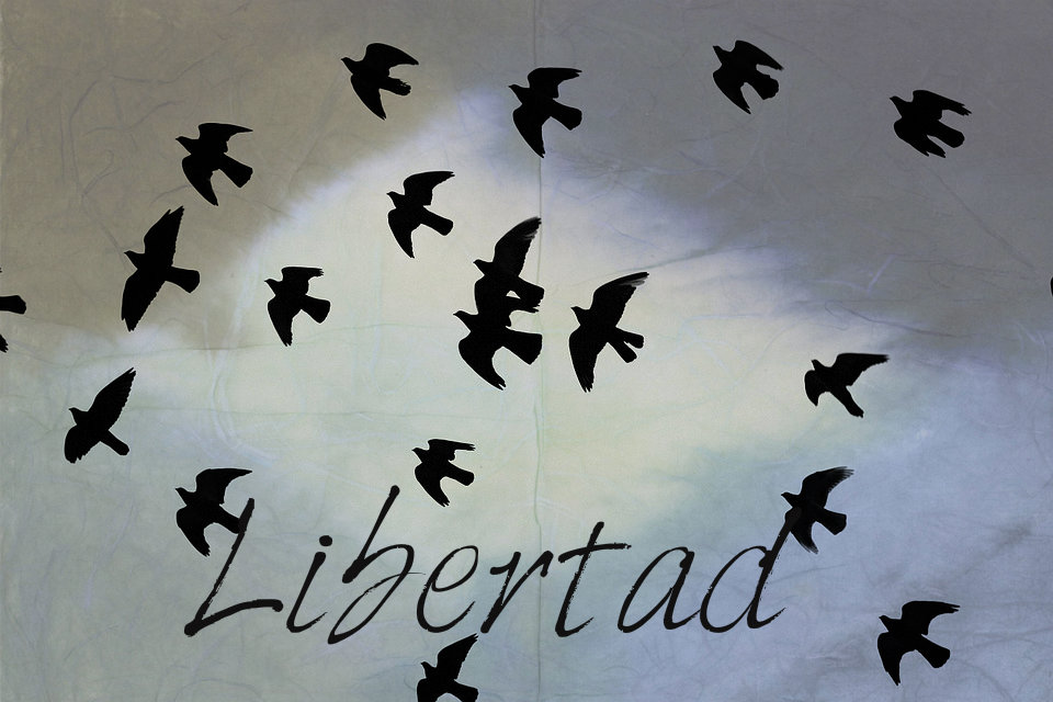Libertad1